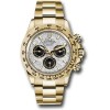 Rolex Daytona 1165058 Meteorite Factory Dial 